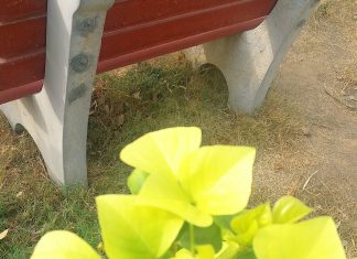 आज का विचार