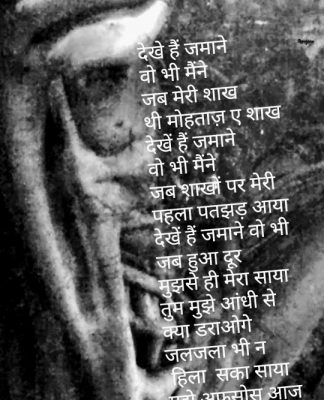 देखें हैं वो भी जमाने