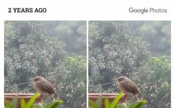 वो चिड़िया